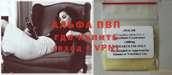 гидра Новозыбков