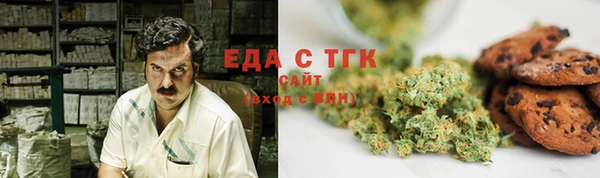 гидра Новозыбков