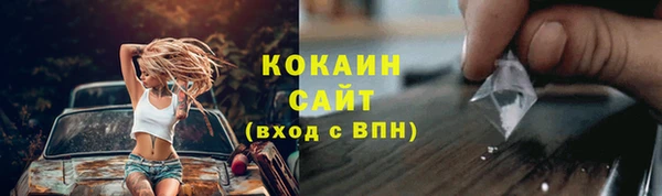 гидра Новозыбков