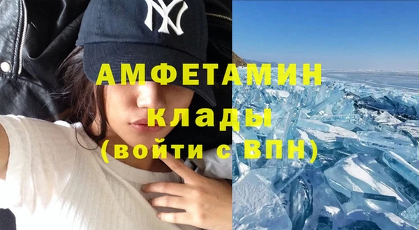 гидра Новозыбков