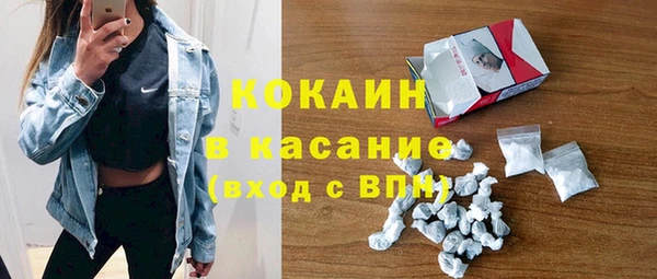 твердый Няндома