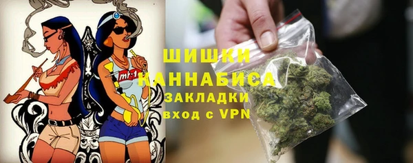 твердый Няндома