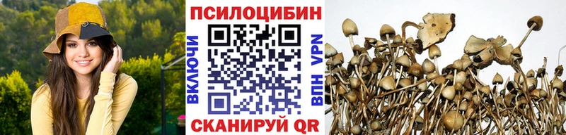 Псилоцибиновые грибы прущие грибы  MEGA зеркало  Лермонтов 